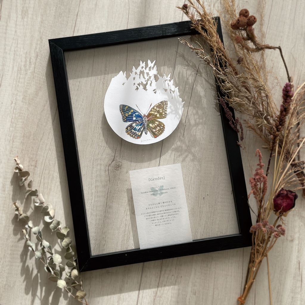 Gender/原画A4以上サイズ