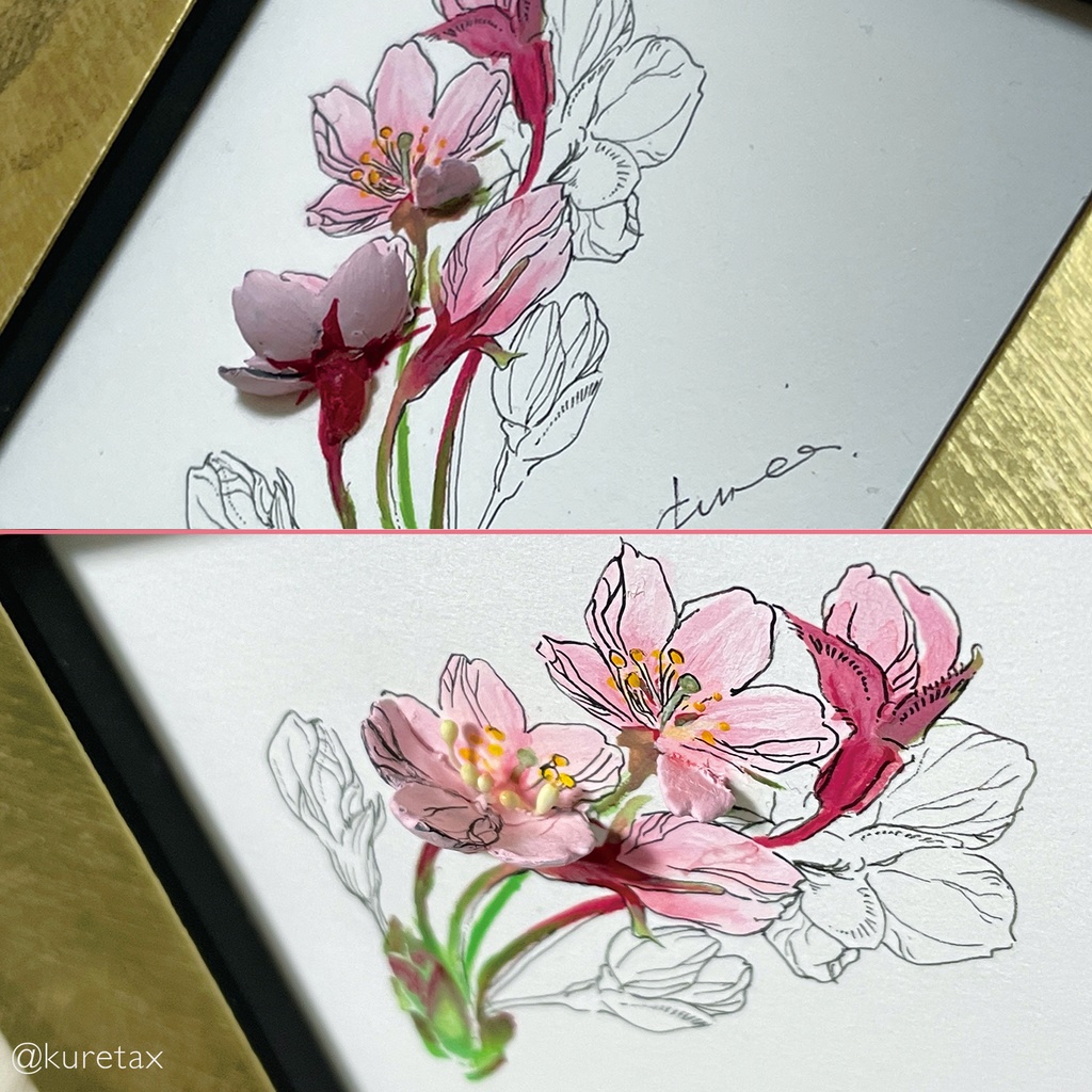 さくら/半立体原画