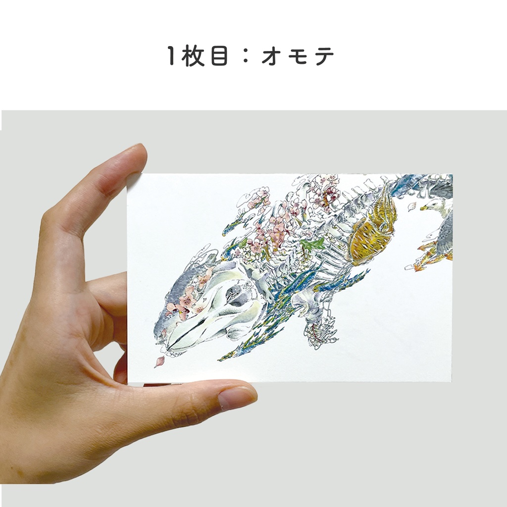 シャチのカード2枚セット