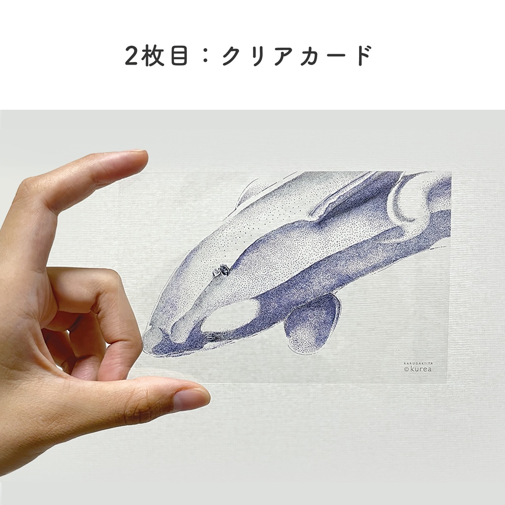 シャチのカード2枚セット