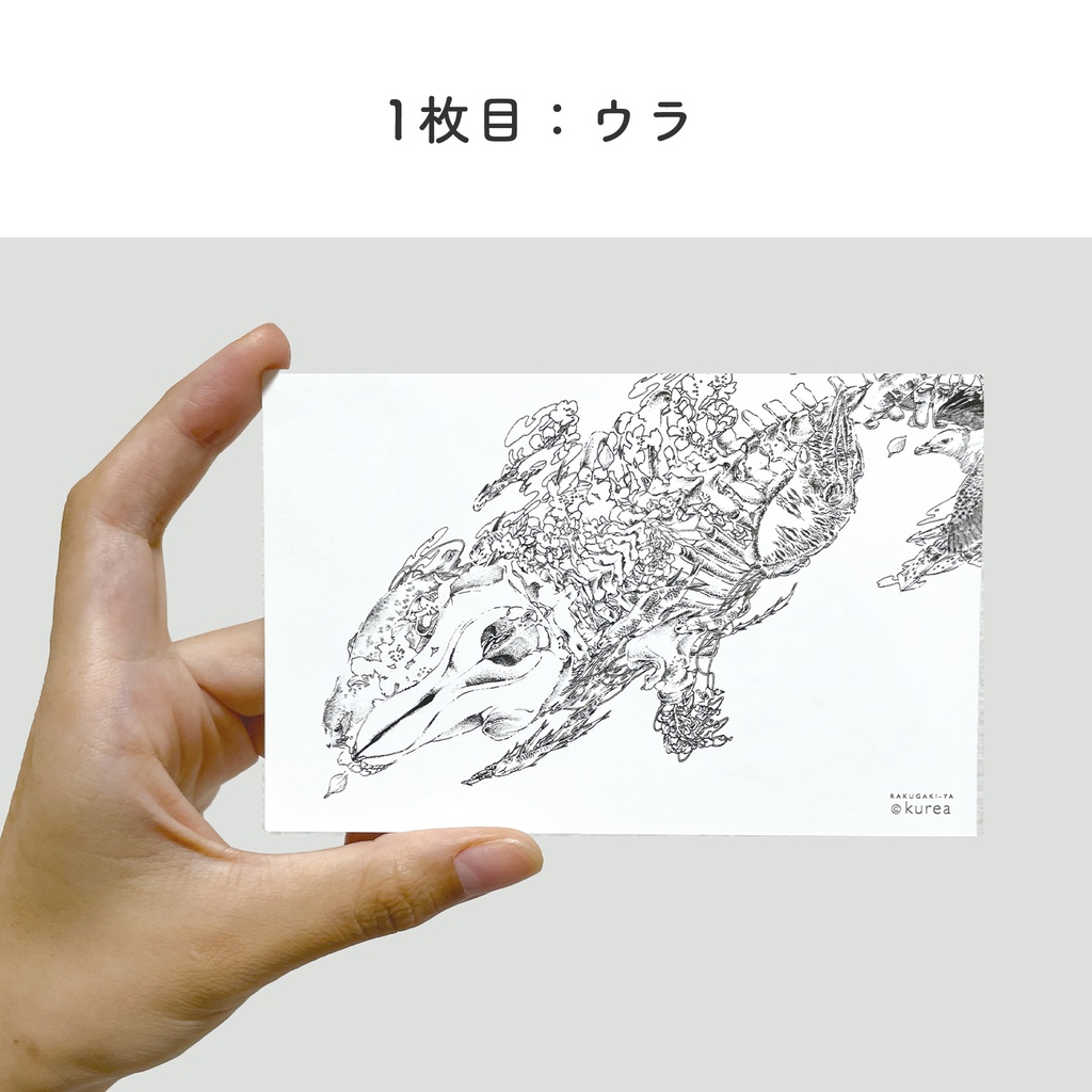 シャチのカード2枚セット