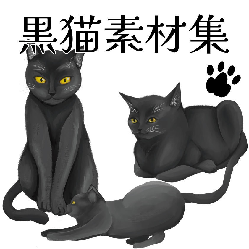 黒猫素材集