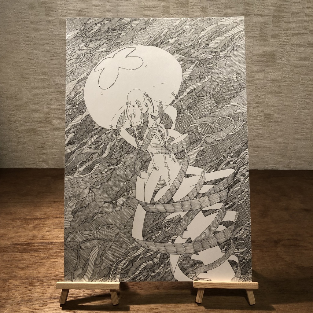 海月