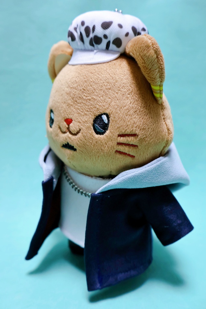 フード付きコート