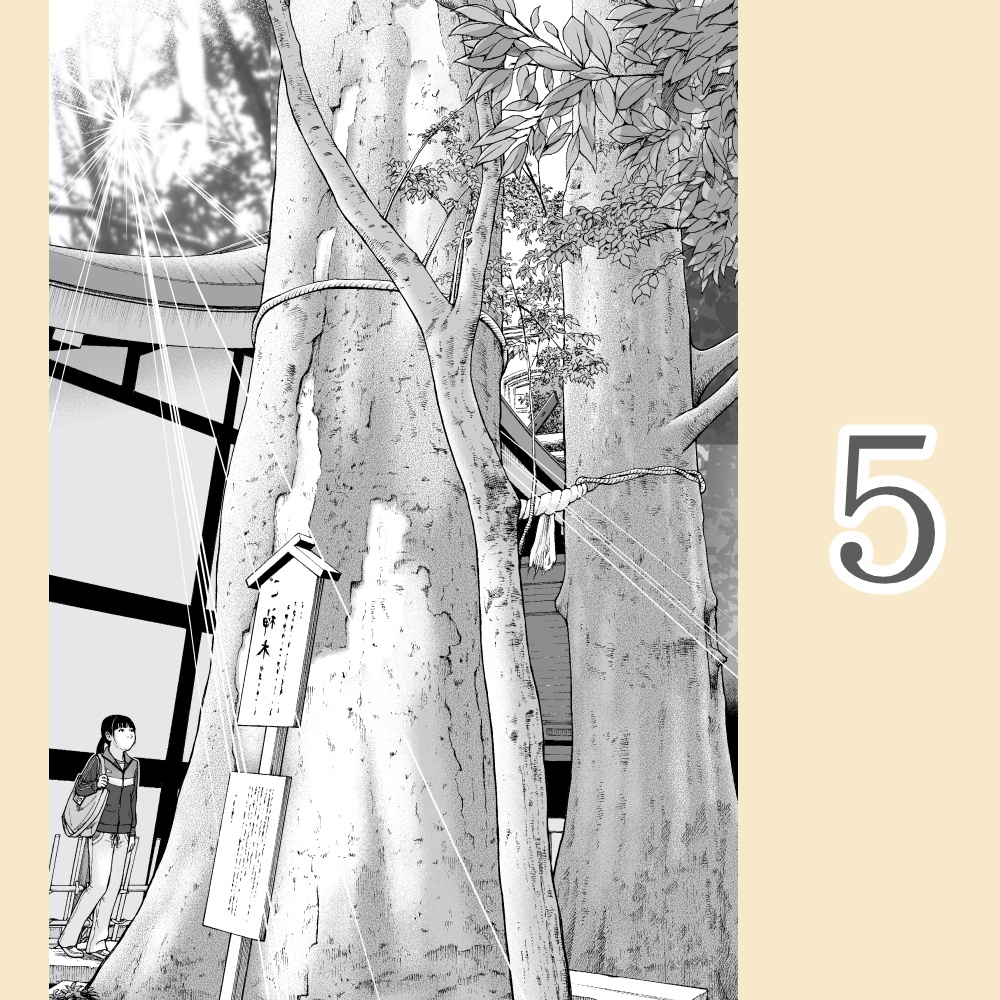 小江戸日和 ポストカード(スターバックスコーヒー時の鐘店 / 旧りそな銀行モノクロ(現りそなコエドテラス)/ 小江戸巡回バス / 朝の一番街&時の鐘 / 氷川神社夫婦ケヤキ)