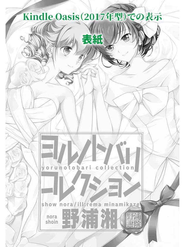 ヨルノトバリ コレクション