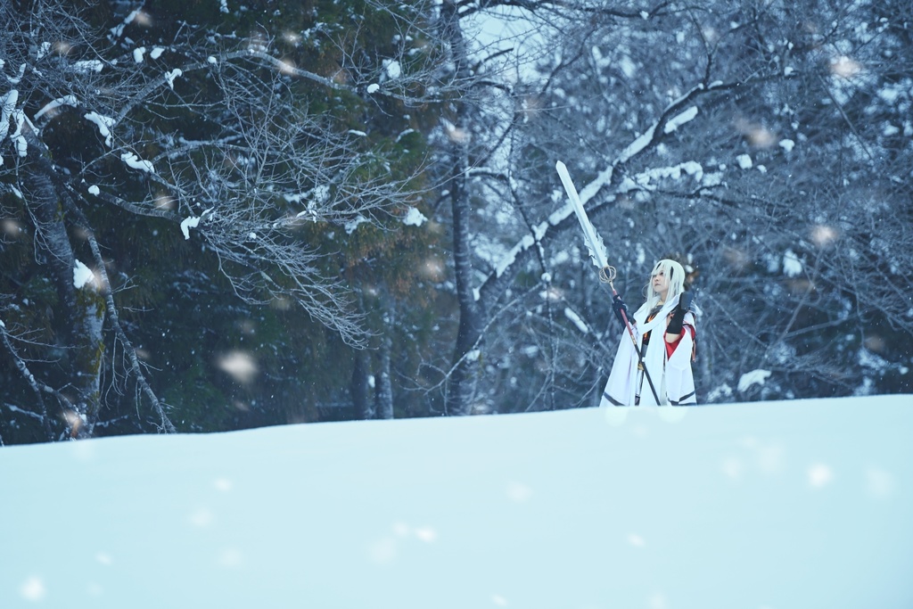 雪解けの桜