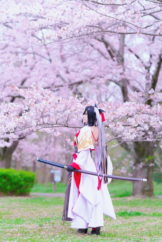 雪解けの桜