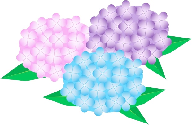 紫陽花のアイコン
