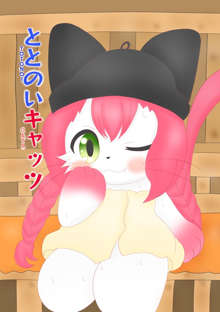ととのいキャッツ（献本用）