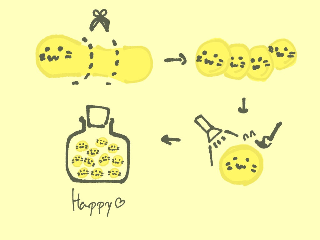 にゃんぷっぷーの錬金に失敗した結果生まれたいきもの