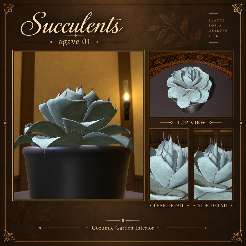 【CGI001】Succulents -Agave01-