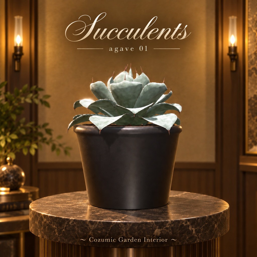 【CGI001】Succulents -Agave01-