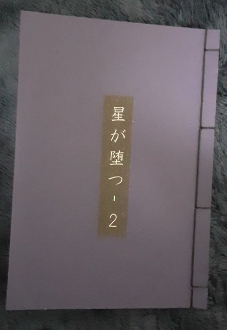 星が堕つ_2