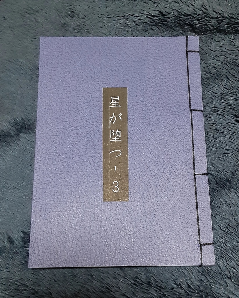 星が堕つ_3