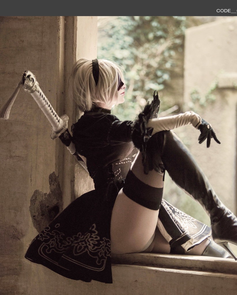 【C103新刊】2B写真集「9Salvage」