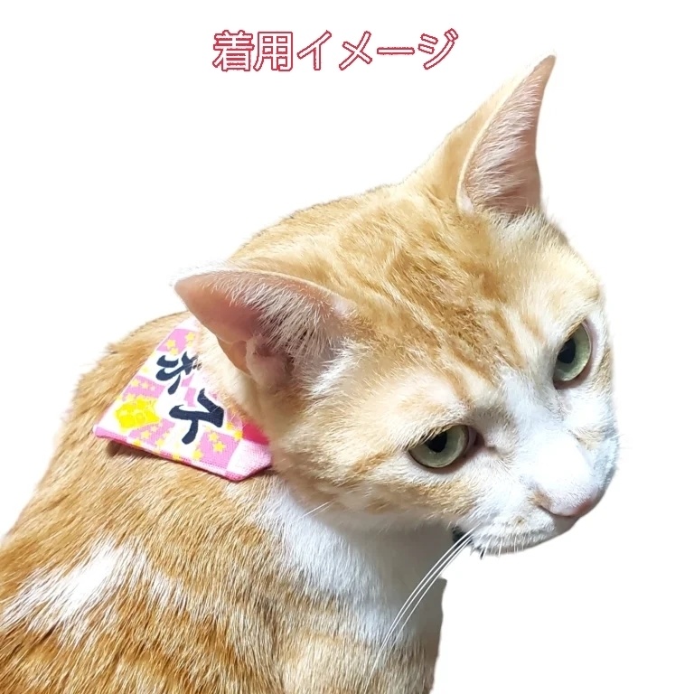 《猫用バンダナ首輪》営業部長