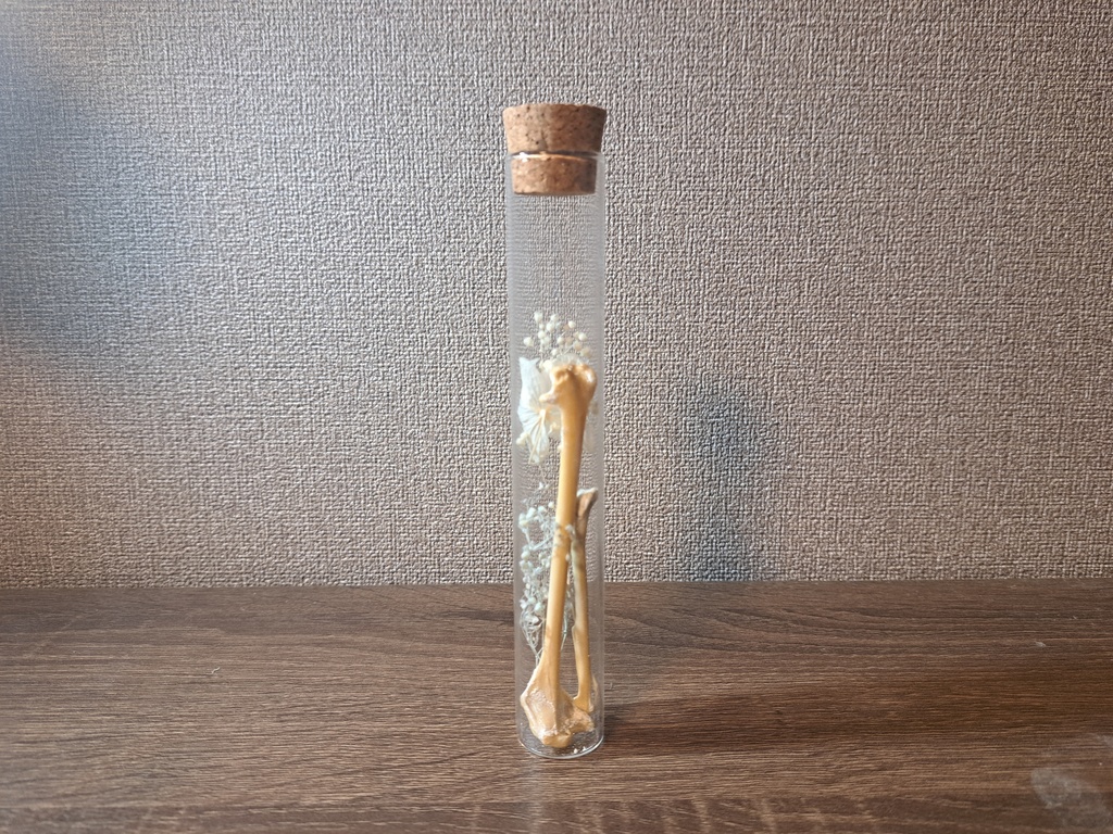 骨 試験管