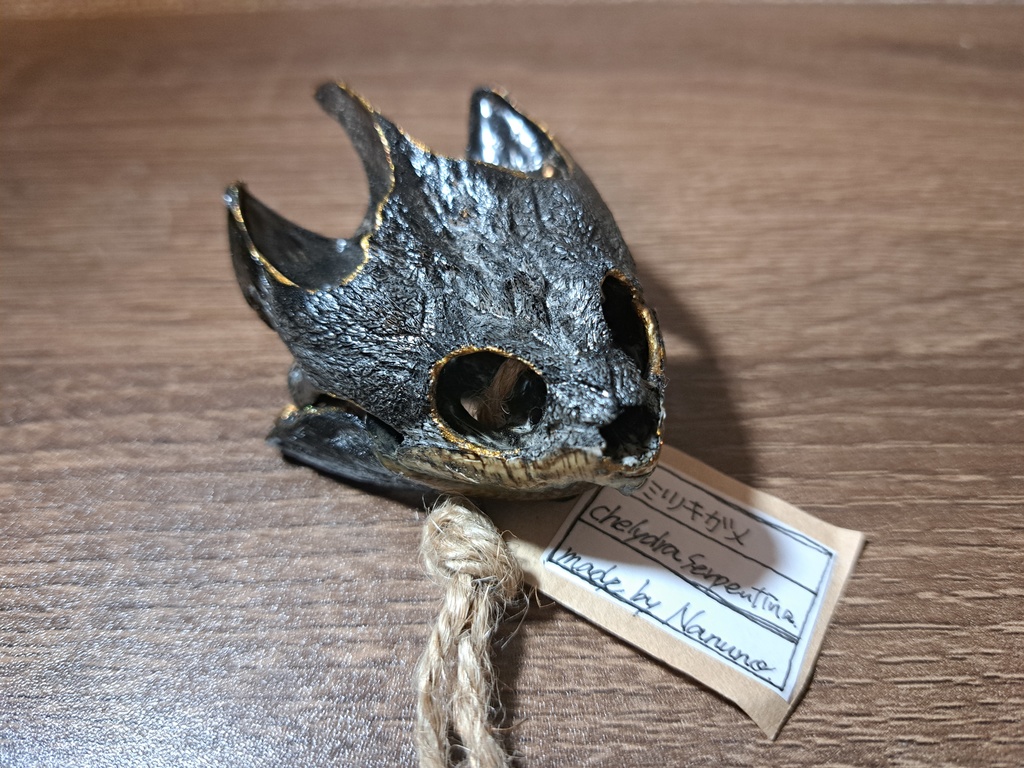 カミツキガメ 頭骨