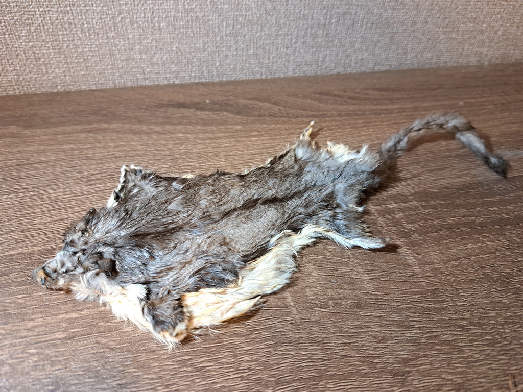 モモンガ皮