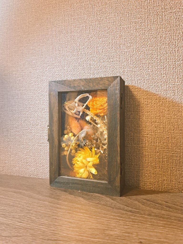 カメレオン封入標本