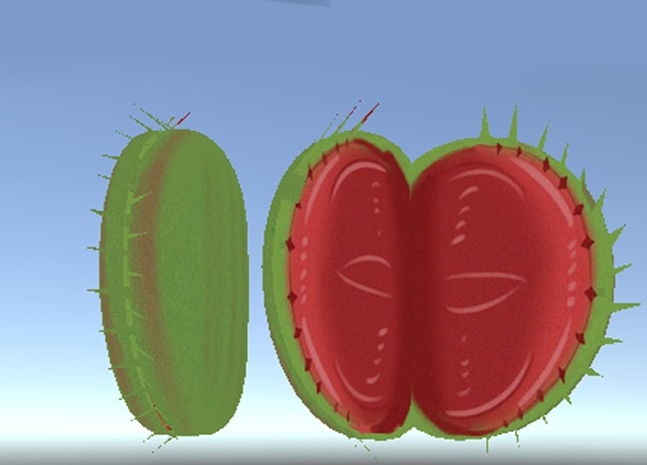 食虫植物(ウツボカズラ&ハエトリグサ)