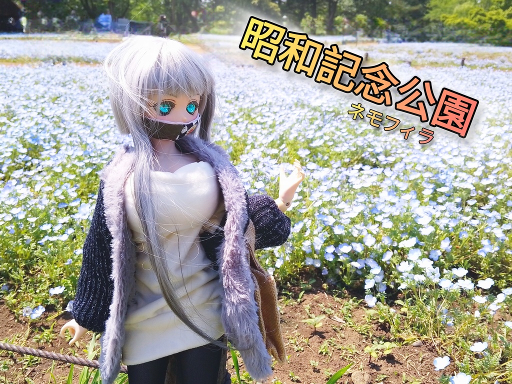 昭和記念公園／ネモフィラ　ドール写真集2025