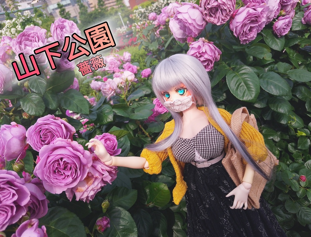 山下公園／薔薇　ドール写真集2025