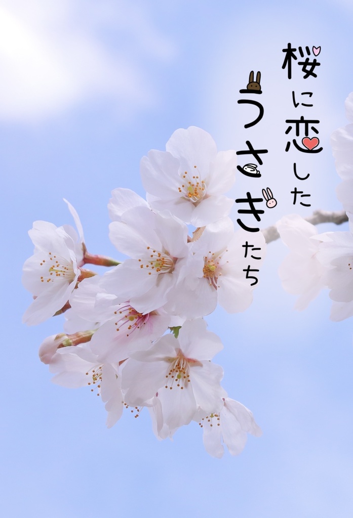 桜に恋したうさぎたち