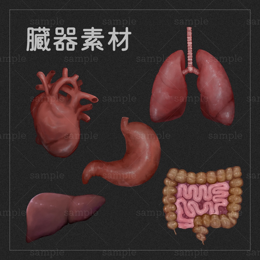 【無料素材】臓器素材