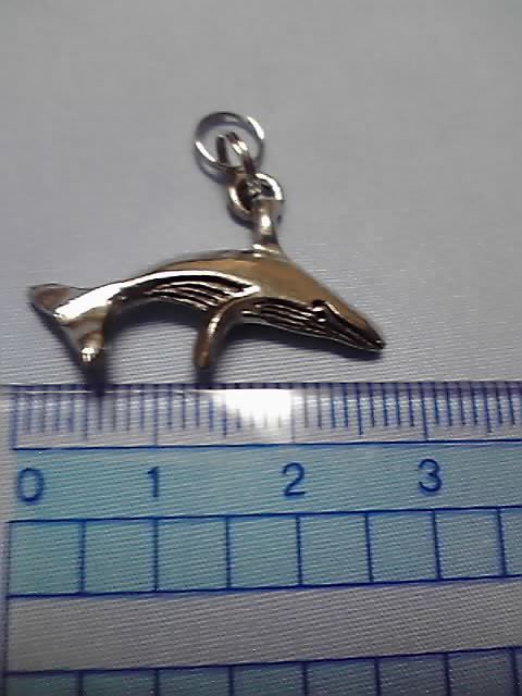 クジラのキーリング