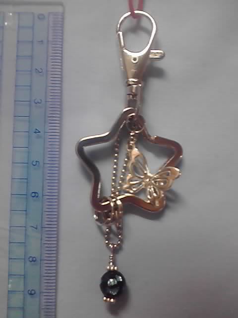 チョウのキーリング