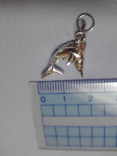 カジキのキーリング