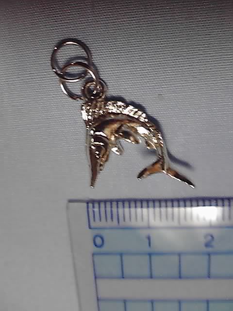 カジキのキーリング