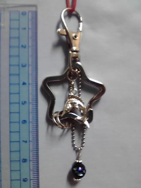 カジキのキーリング