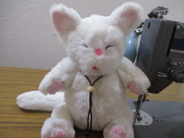 チャリティーにゃんこ 保護猫ティディ ぶう♂