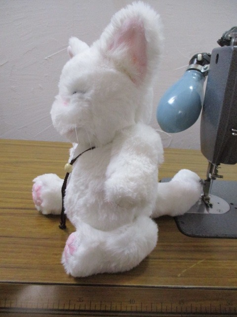 チャリティーにゃんこ 保護猫ティディ ぶう♂