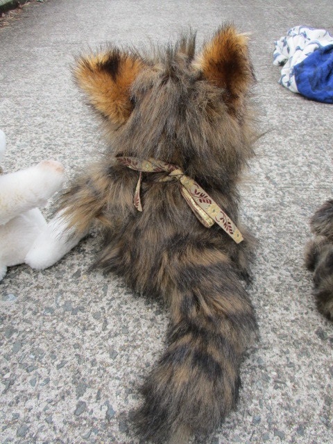 チャリティーにゃんこ 保護猫ティディ みくに♀