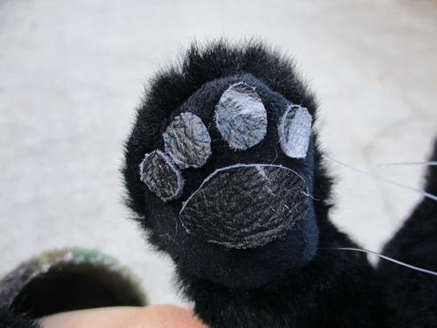 チャリティーにゃんこ 保護猫ティディ ノワール♂ 売約済み