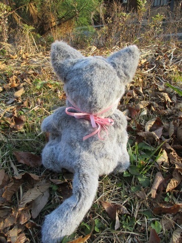 チャリティーにゃんこ 保護猫ティディ アリス♀ 売り切れました