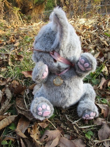 チャリティーにゃんこ 保護猫ティディ アリス♀ 売り切れました