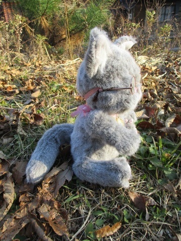 チャリティーにゃんこ 保護猫ティディ アリス♀ 売り切れました