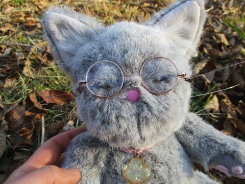 チャリティーにゃんこ 保護猫ティディ アリス♀ 売り切れました