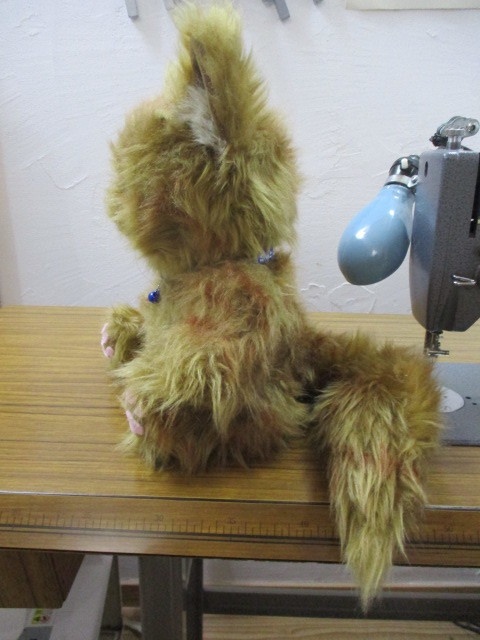 チャリティーにゃんこ 保護猫ティディ ヒカル♂ 売約済