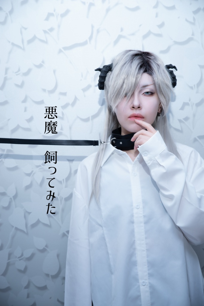 【新刊セット】悪魔飼ってみた