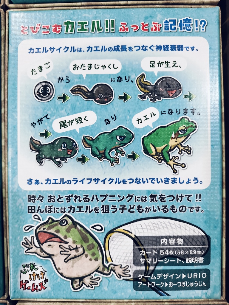 カエルサイクル