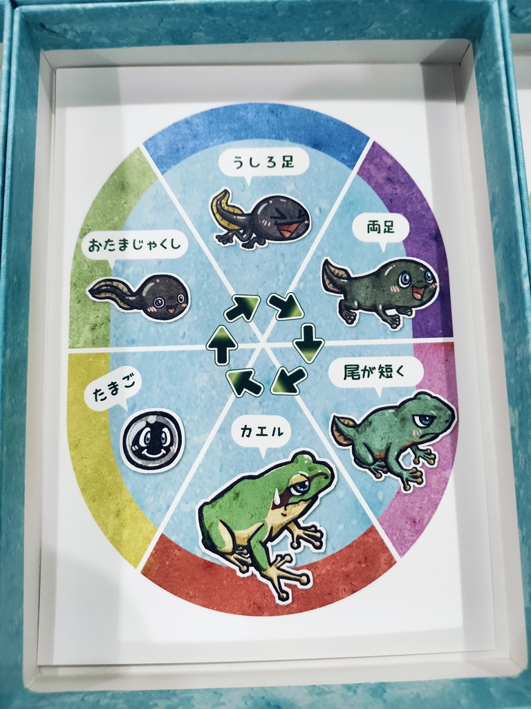 カエルサイクル