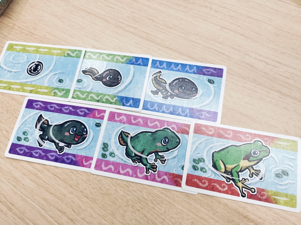 カエルサイクル