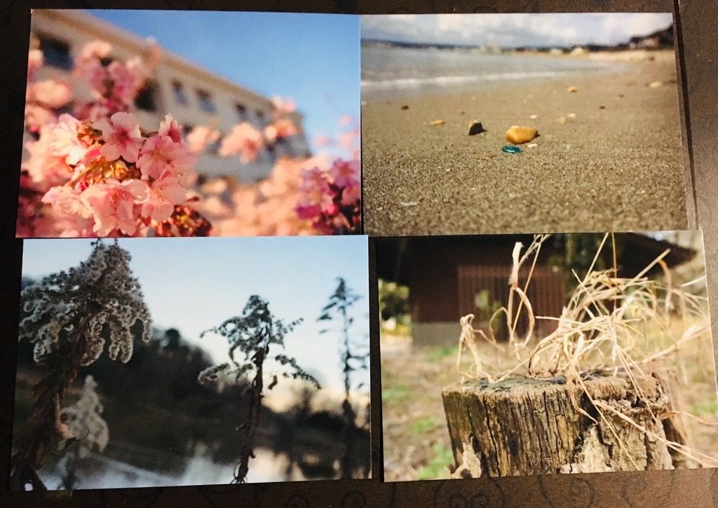 春夏秋冬ポストカード