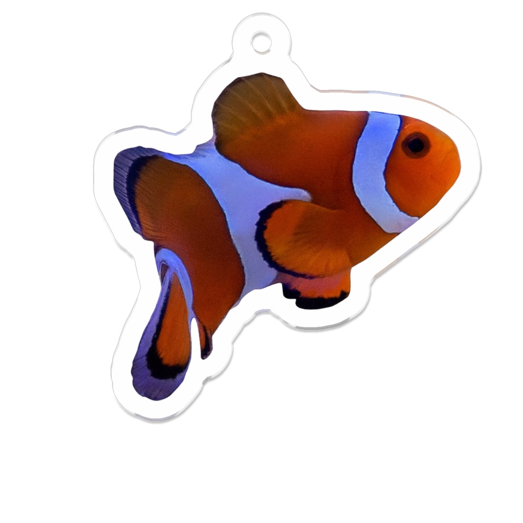 【我が家の】カクレクマノミ アクリルキーホルダー